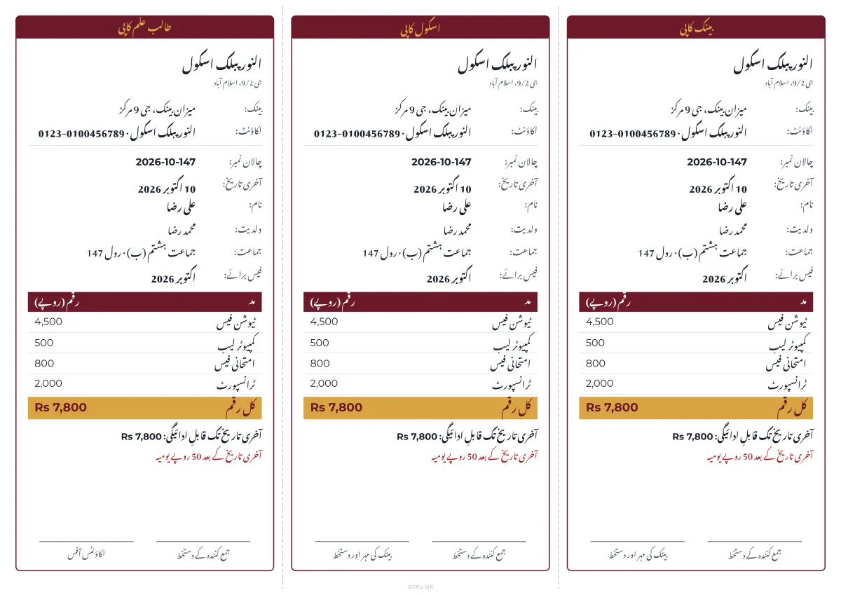 رنگین پٹی فیس چالان ڈیزائن